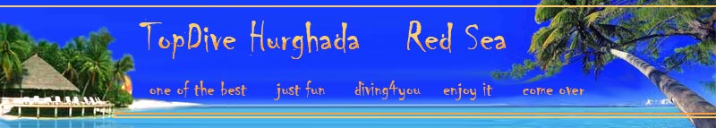 Top Dive Hurghada Red Sea Egypt